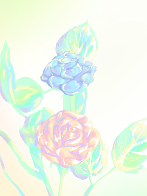 rose - ibisPaint