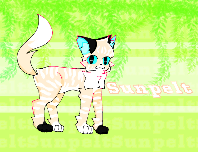 Warrior cat oc Sunpelt