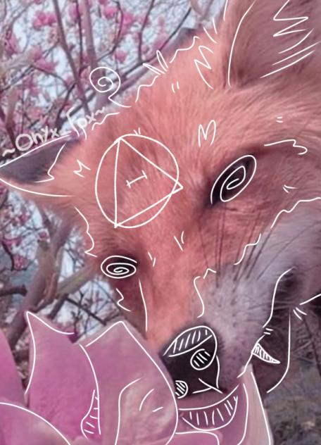 ⭐️Fox therian⭐️
