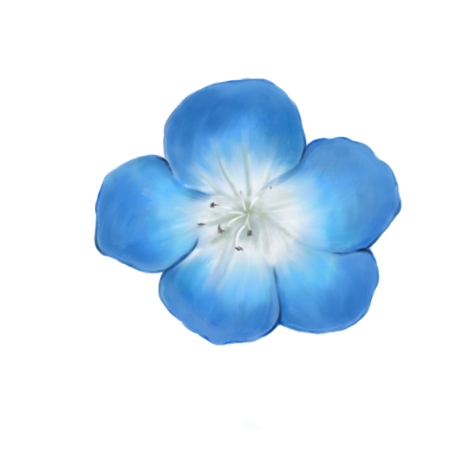 ハウツー本見て描いたネモフィラ。