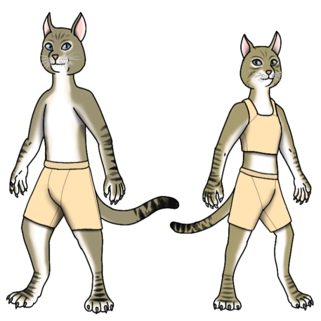 Southern Felyne render