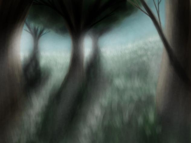 Out of the Forest