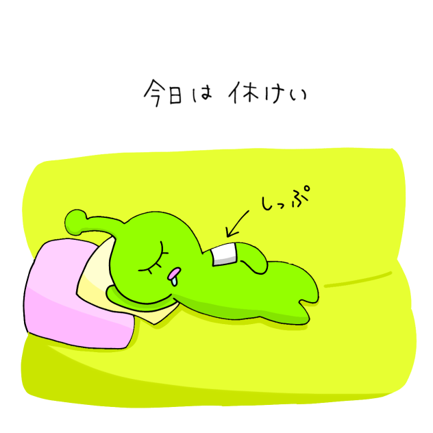 今日は休憩