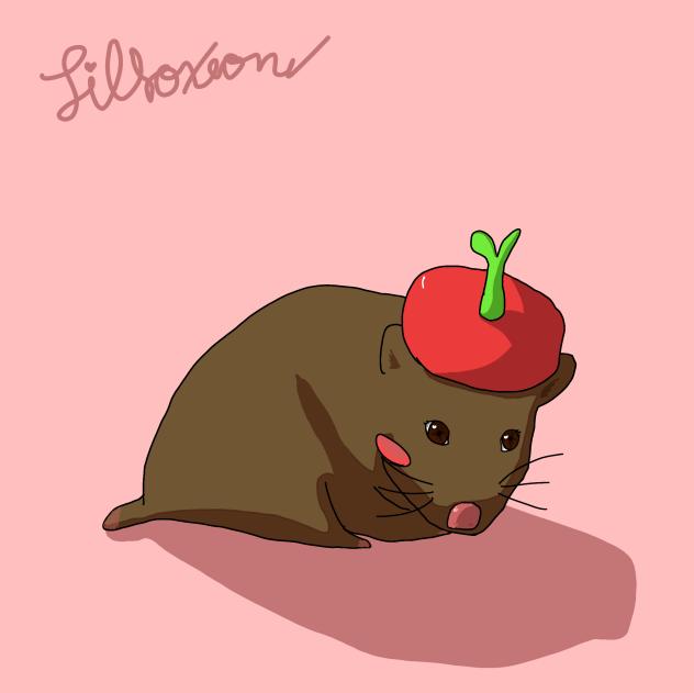 BROWNIE THE CUTIE FA!!!