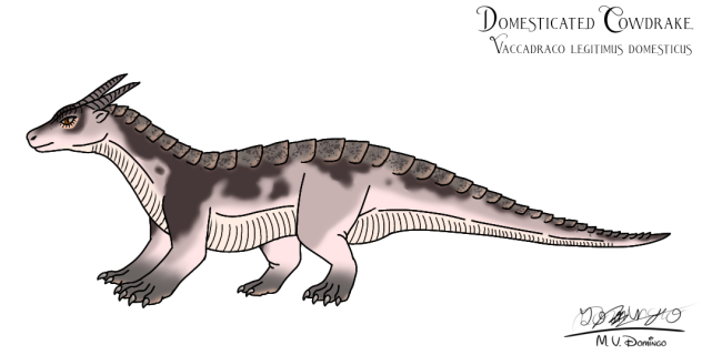 Domesticated Cowdrake male