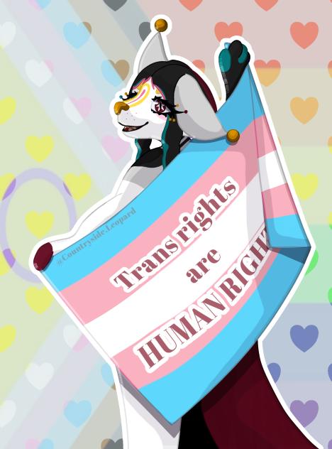 Trans rights are human rights! 🏳️‍⚧️🏳‍🌈