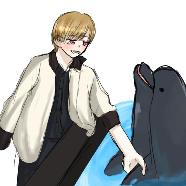 イルカワイイ