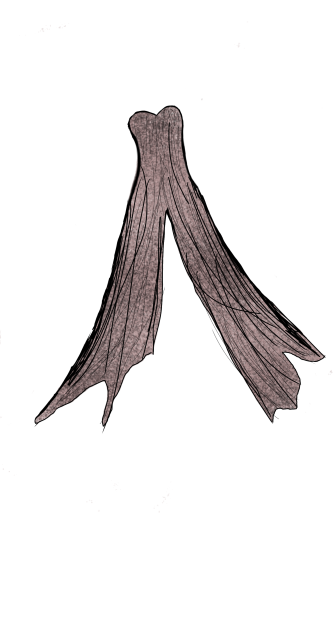 my princess dress design