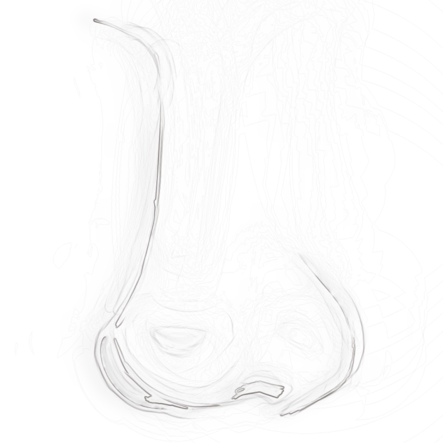 nose base