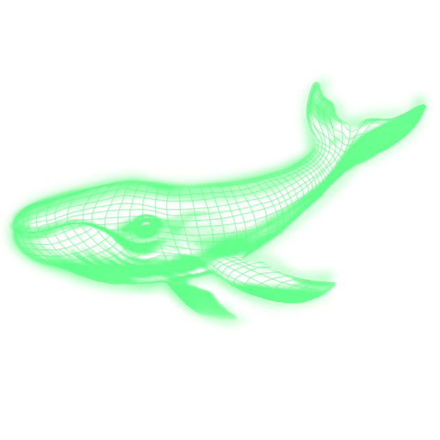 whale hologram🐳