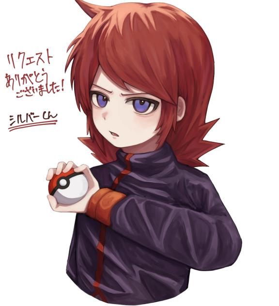 リク絵のシルバーくん