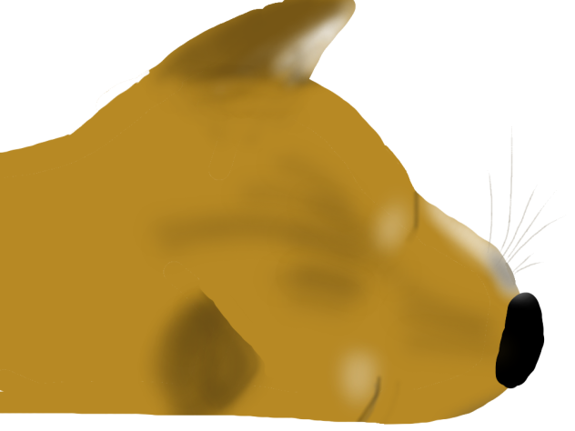 寝るゴロー
