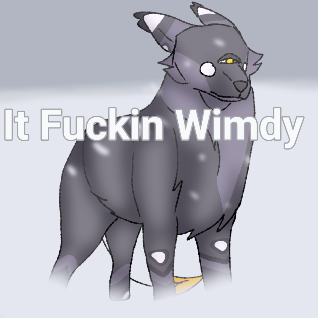 It Fuckin Wimdy