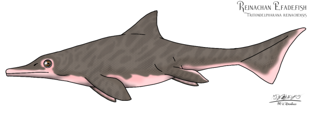 Reinachan Efadefish
