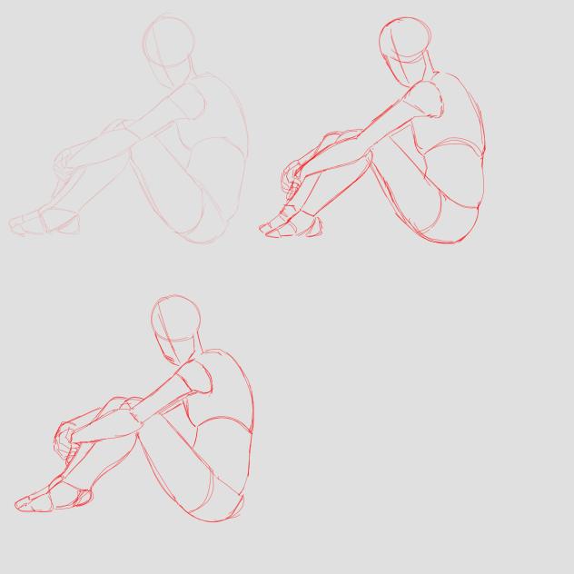 Anatomy studies