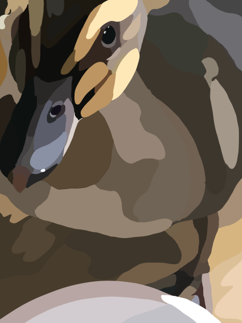 Block shade of my duck Quackers