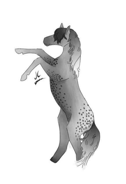 Dappled Grey Horse (oc) - ibisPaint