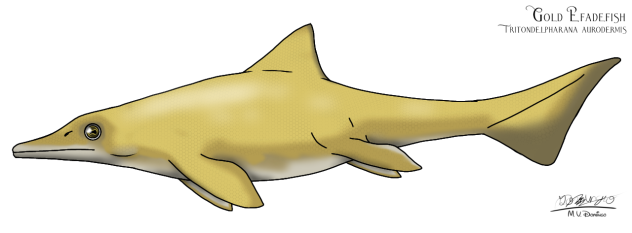 Gold Efadefish