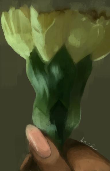 Fuckahh flower ft my hand