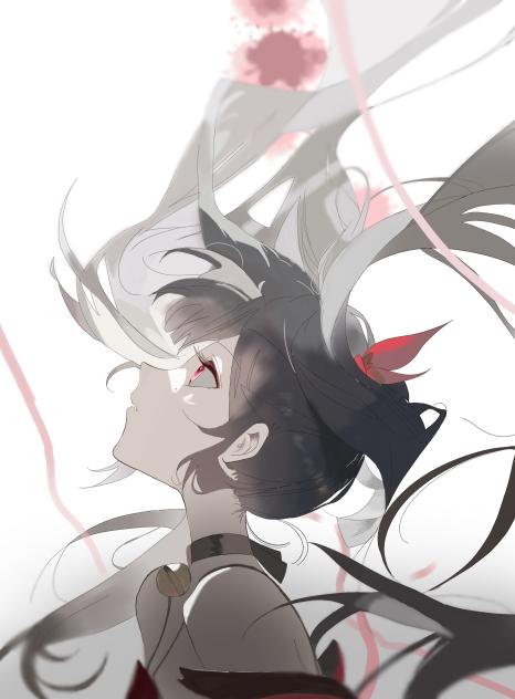 honkai