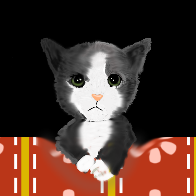 cat