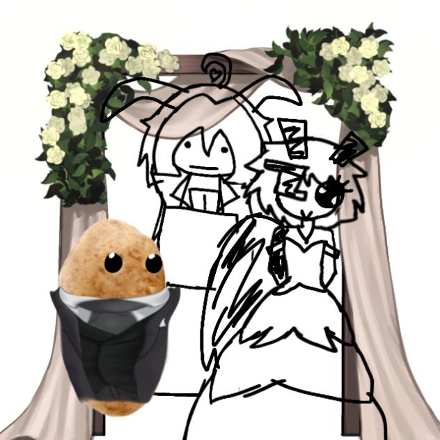 why is he getting married to a patato