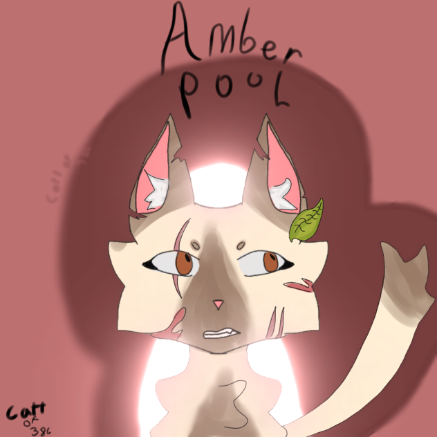 Amberpool