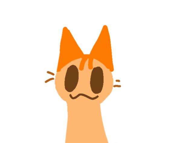 idk what should I put here