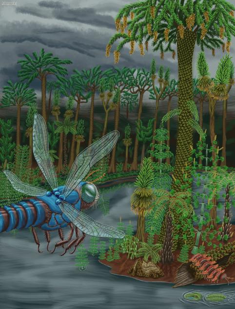 The Coal Age v2 (Carboniferous period)