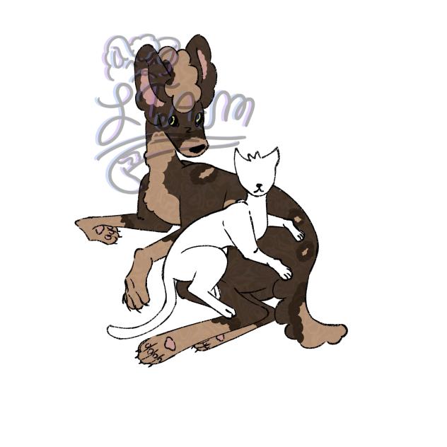 Hyena me (1 and a half-3)