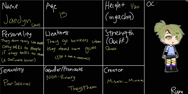 Character sheet for Runi