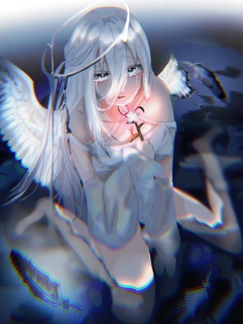 天使のお花