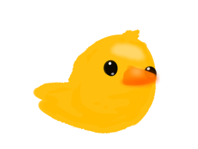 duck 💓