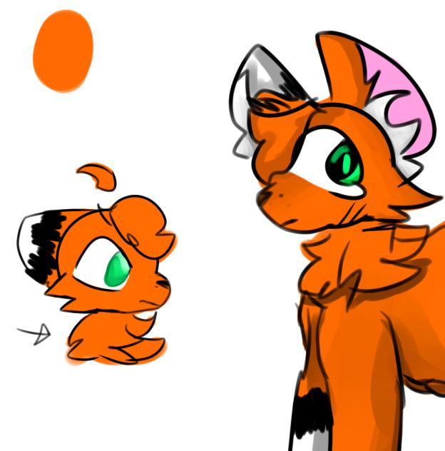 Canon fox design