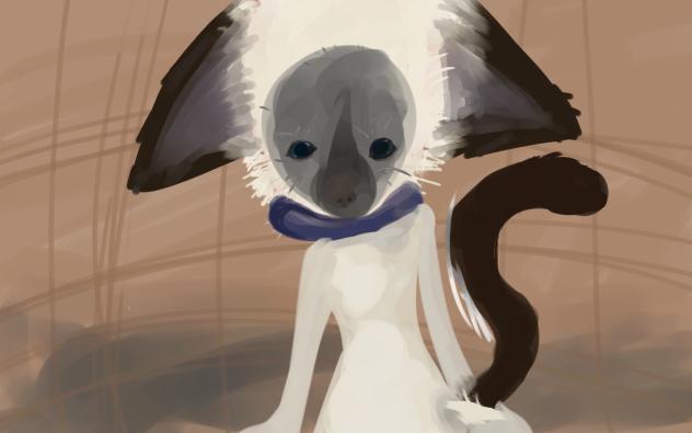 Fa for caleb!
