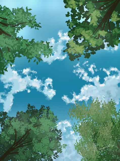 🌳🌳🌳🌳