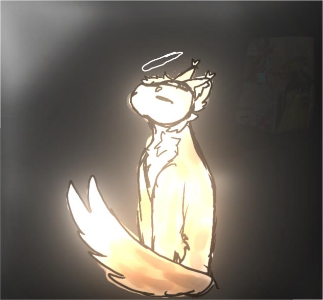 fox
