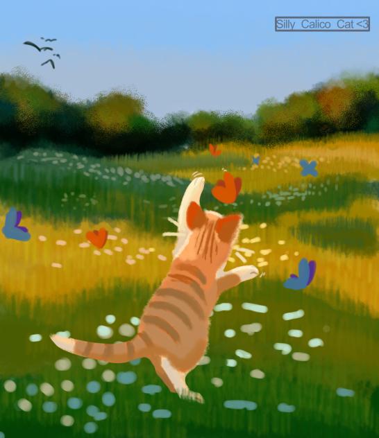Cat’s-little-journey-part-two