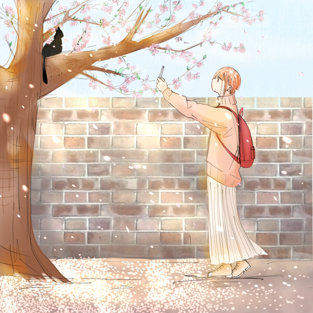 山桜と黒猫