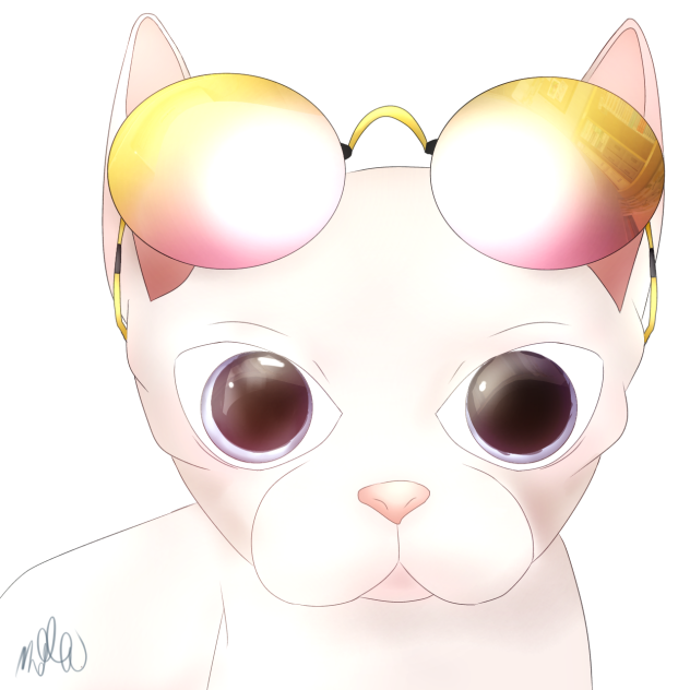 Bingus🌸🕶️