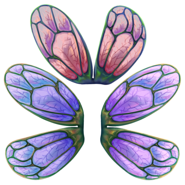 Fairytale wings 🦋