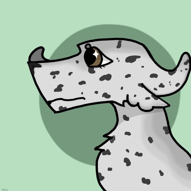 Spotted seal dragon