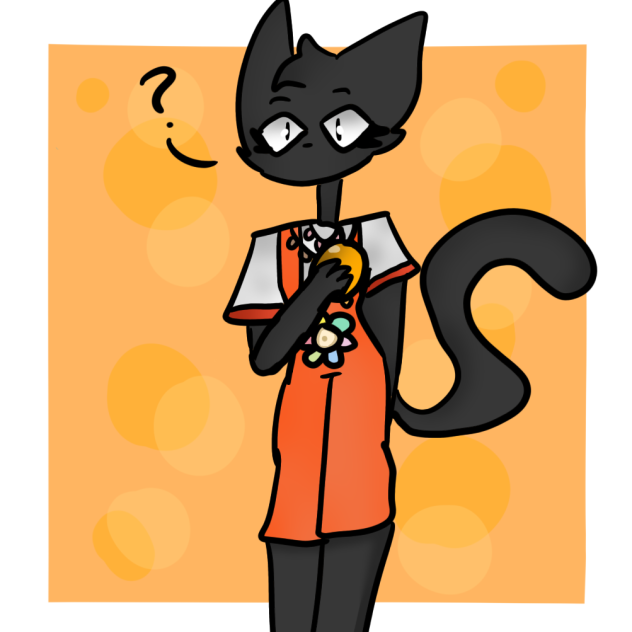 noe transparent