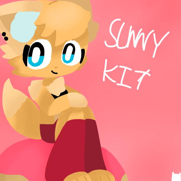 Meet sunny kit