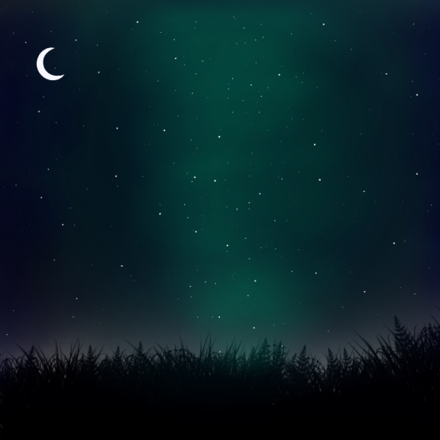 STARY NIGHT 🌃