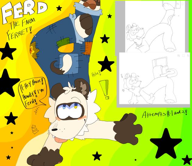⭐️Ferd the Ferret!!!!✨