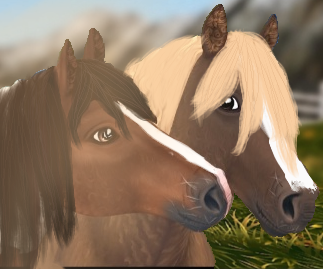 SSO Edit - Curly Horses
