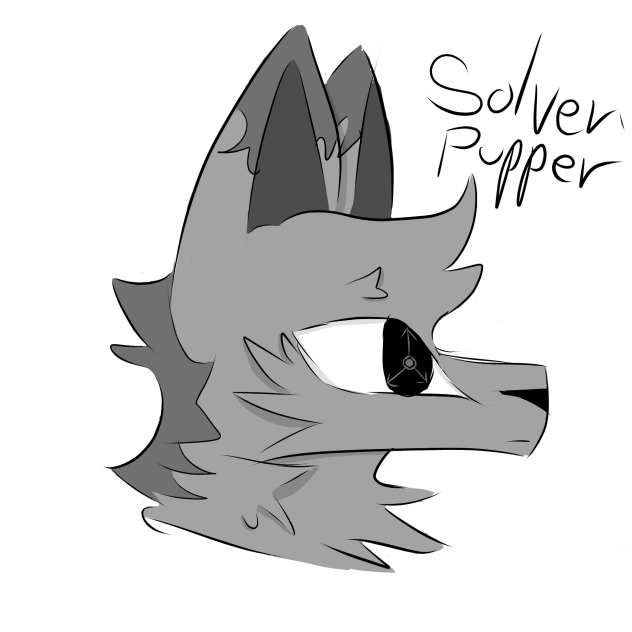 Solver Pupper