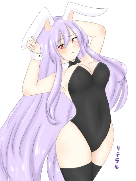バニーの日