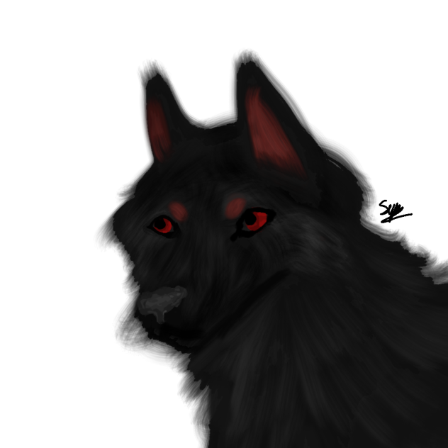 wolf idk